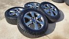 Fx-4 Platinum Ford 20 F-150